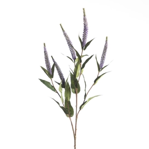 AF Veronica x5 L72cm Purple