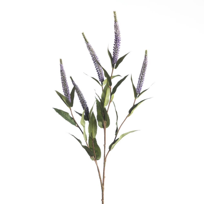 <h4>AF Veronica x5 L72cm Purple</h4>