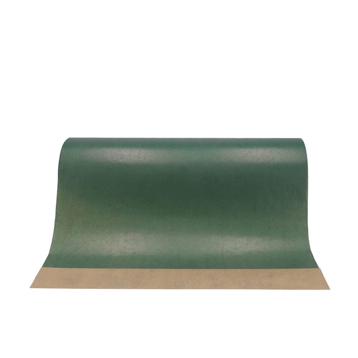 <h4>Paper 50cm Brown 10kg Dark Green</h4>
