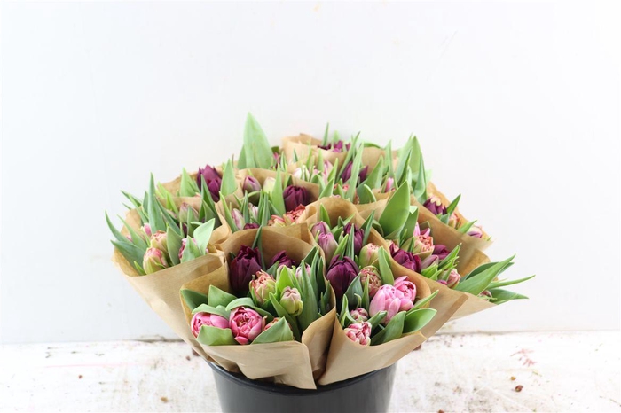 <h4>Tu Du Gemengd Pink</h4>