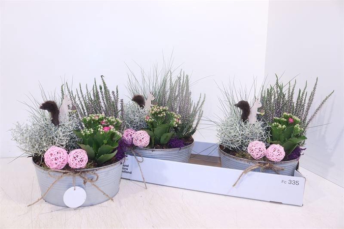 <h4>ARR TUINPLANTEN</h4>