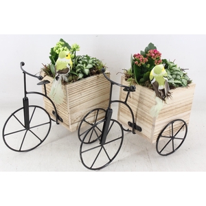 arr2 TD - Driewieler - roze/wit