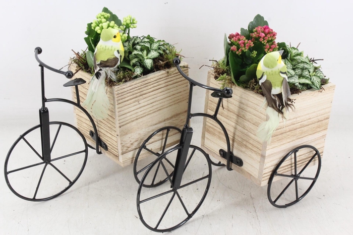 <h4>arr2 TD - Driewieler - roze/wit</h4>