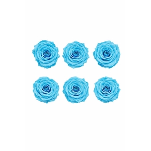 Ro Pres Classic Cyan
