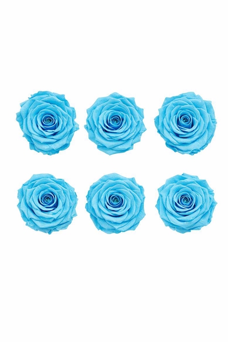 <h4>Ro Pres Classic Cyan</h4>