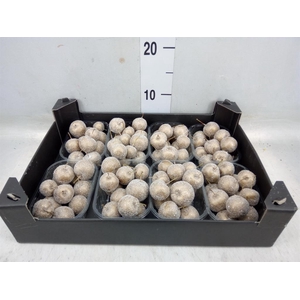 Decoratieve materialen   ...H%