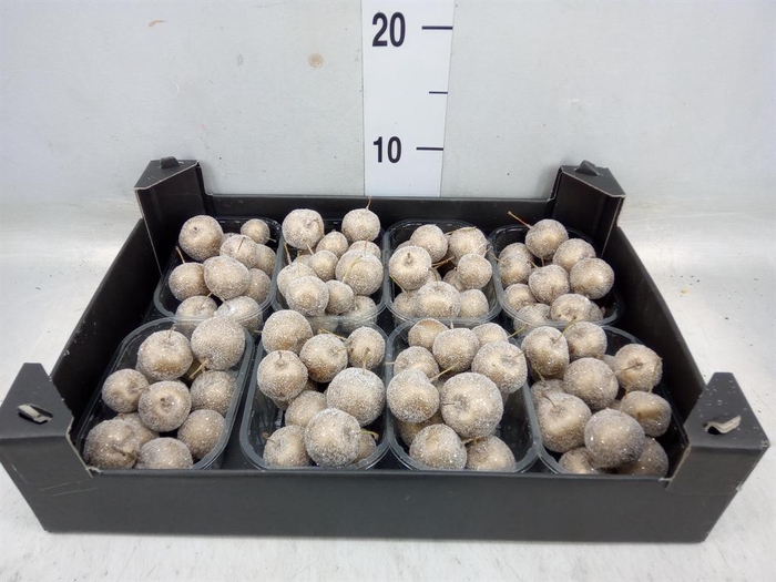 <h4>Decoratieve materialen   ...H%</h4>