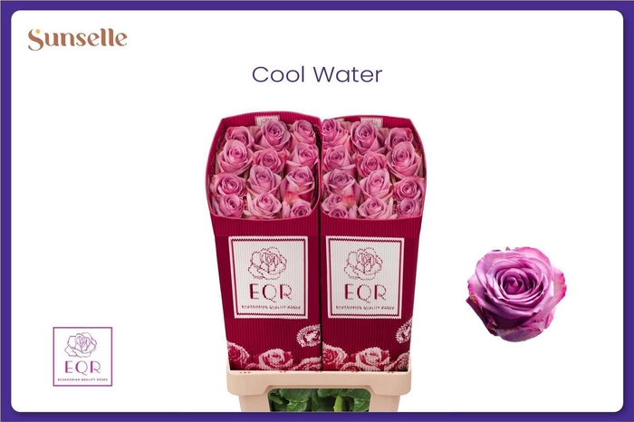 <h4>R Gr Cool Water!</h4>