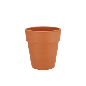 Terracotta Clematis Pot D15xh17cm Nm