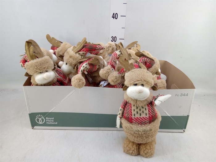 <h4>Decoratie  ..Rendier H%</h4>