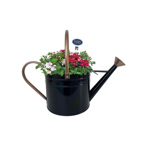 Arr.   Perkplanten H%