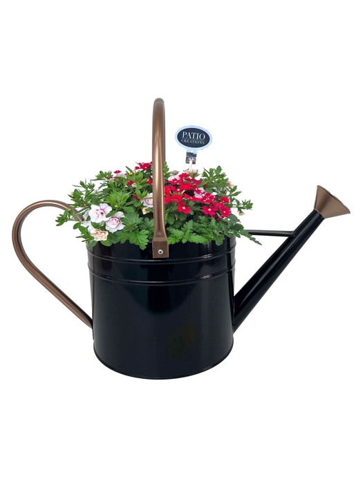 <h4>Arr.   Perkplanten H%</h4>