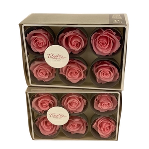 Arrangementen Potroos H%