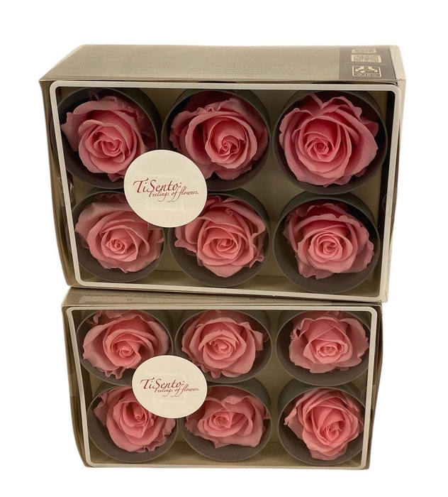 <h4>Arrangementen Potroos H%</h4>