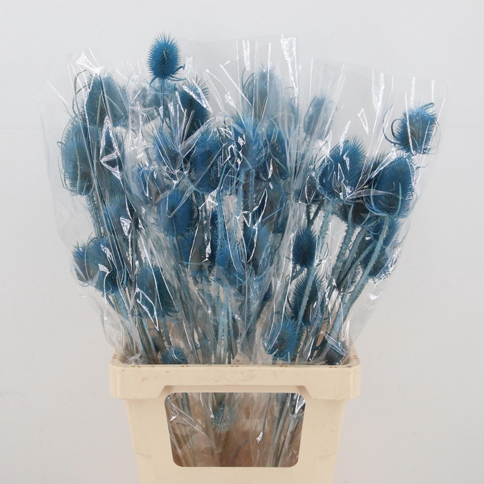 <h4>DROOGBL BEWERKT H%</h4>