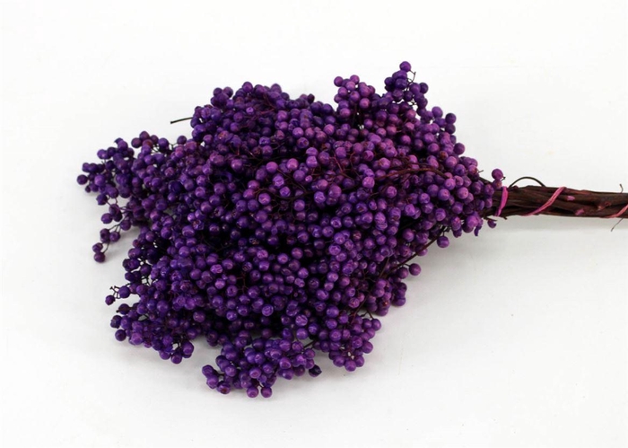 Schinus M Pt Lavender Bunch