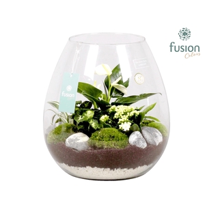 Green Bottle Abby XLarge met Groen Planten Arrrangement