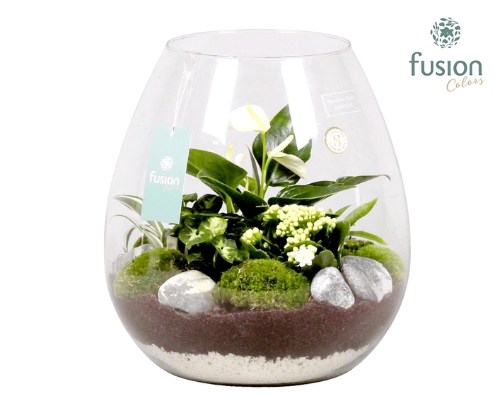 <h4>Green Bottle Abby XLarge met Groen Planten Arrrangement</h4>