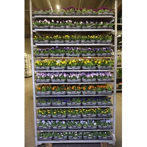 Vio Co Mixk 1 Kleur Per Tray