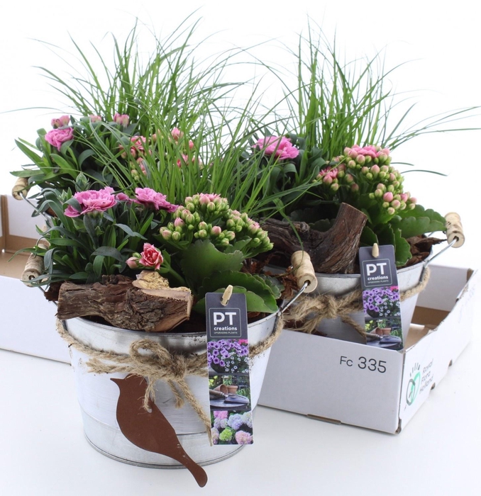 <h4>ARR TUINPLANTEN</h4>