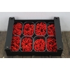 Sier Sorbusbes Red X8
