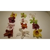 Cymbidium 12/15 Mix Bl pst