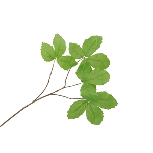 Silk Leaf Chestnut Green 79cm Nm