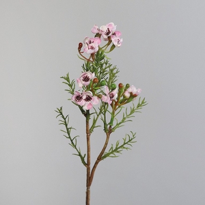 Wax herb bundle x2 25cm wht/rose