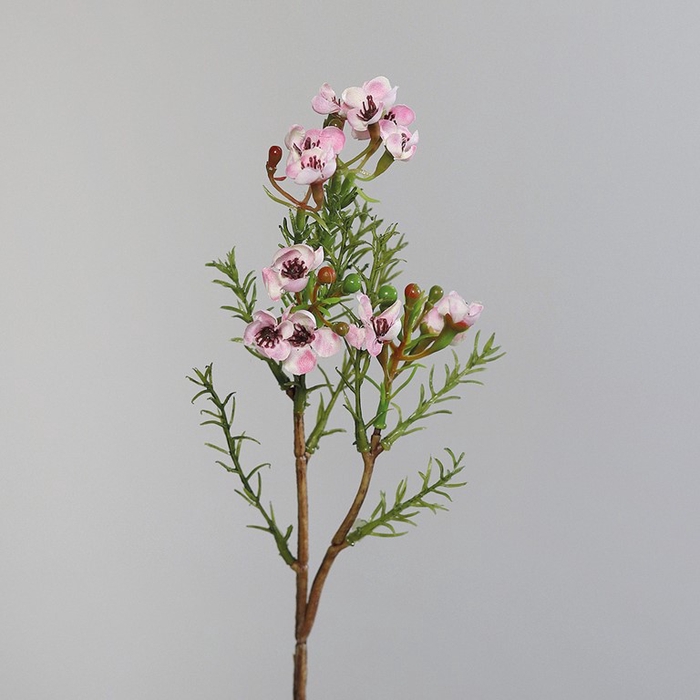 <h4>Wax herb bundle x2 25cm wht/rose</h4>