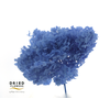 Hydrangea Anna Preserved Dark Blue