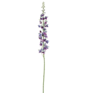 Aconitum 135cm blue