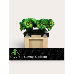 Ge Gr Klb Green