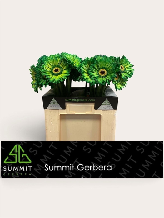 <h4>Ge Gr Klb Green</h4>