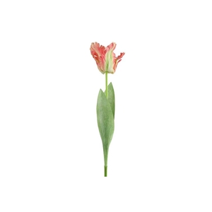 Af Tulip Parrot L69cm Pink