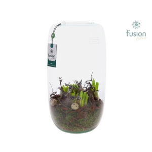 Green Bottle Isabella XXLarge met Pasen arrangement