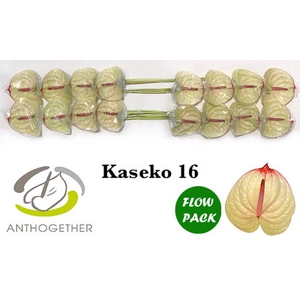 Anth A Kaseko Flow Pack X16 Bouman