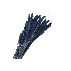 Setarea Pendula Blue Dark