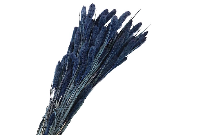 <h4>Setarea Pendula Blue Dark</h4>