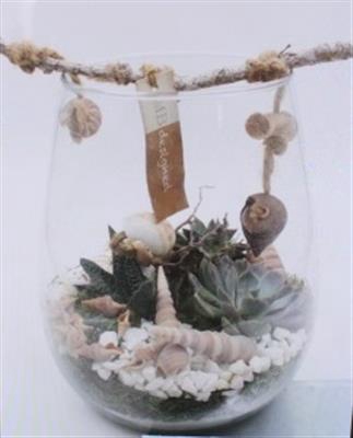 <h4>2710 DRUPPEL SUCC SCHELP</h4>