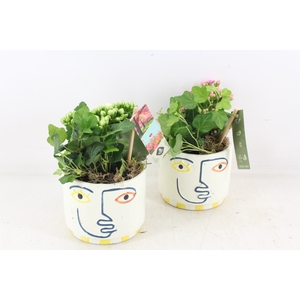 arr3 JS - Ker. pot face colour - rood/wit