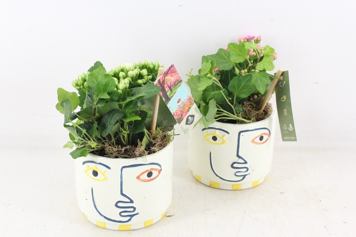 <h4>arr3 JS - Ker. pot face colour - rood/wit</h4>