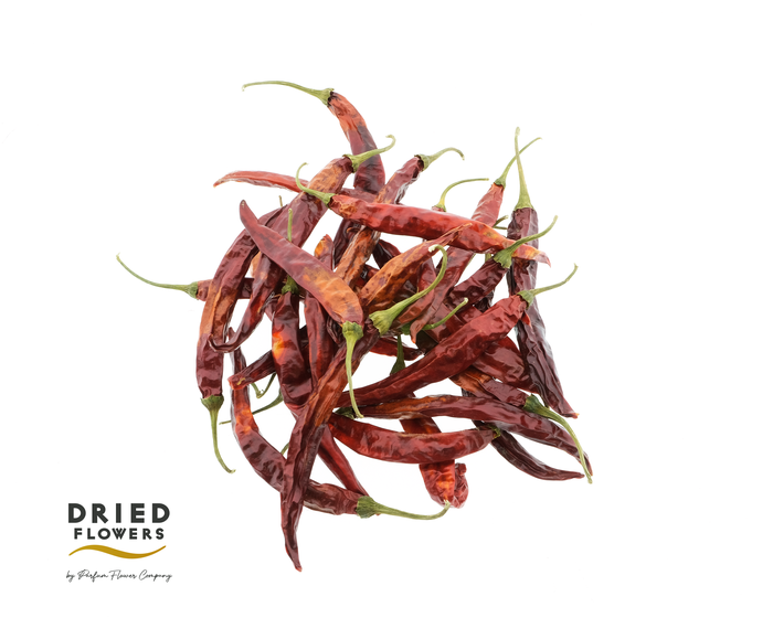 <h4>Dried Deco Mixed Cone Red Chillies</h4>