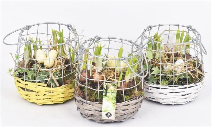 <h4>Willow metaal korf mix kl17cm</h4>