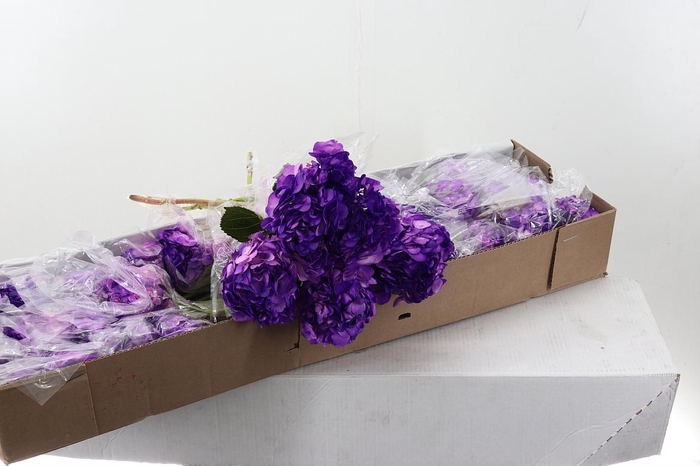 <h4>Hydr x10 Purple Tinted Box</h4>