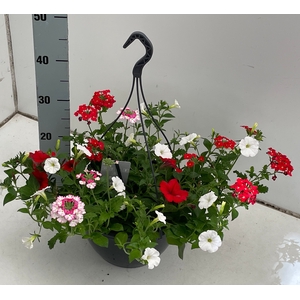 PERKPL GEM IN POT