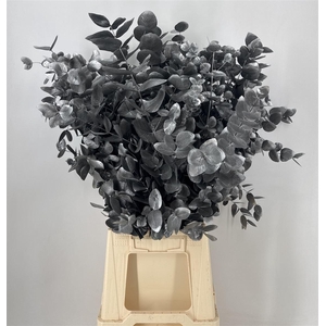 Dr Stab Col Cine Old Black Nero