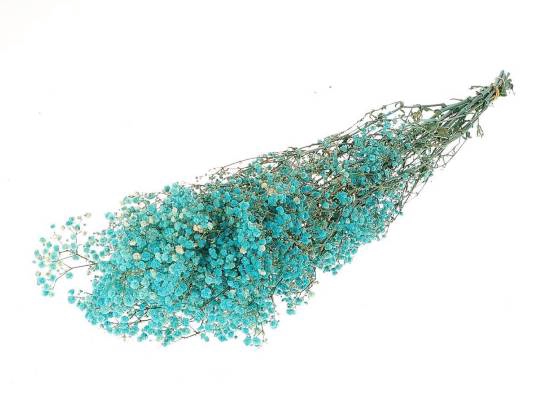 Bunch Gypsophila Pres.100gr L70