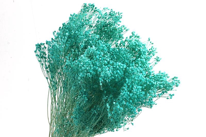 <h4>Broom Bloom Mint</h4>