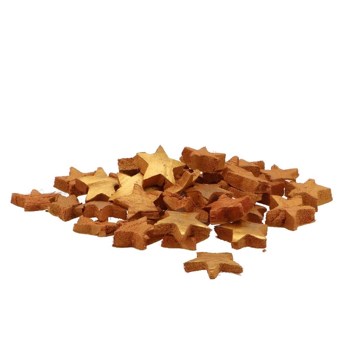 <h4>Nature Coconut Star Gold P/100 5cm</h4>