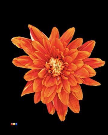 <h4>Chr T 2 Kl Baltica Roma</h4>